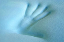 Memory Foam Mattresses