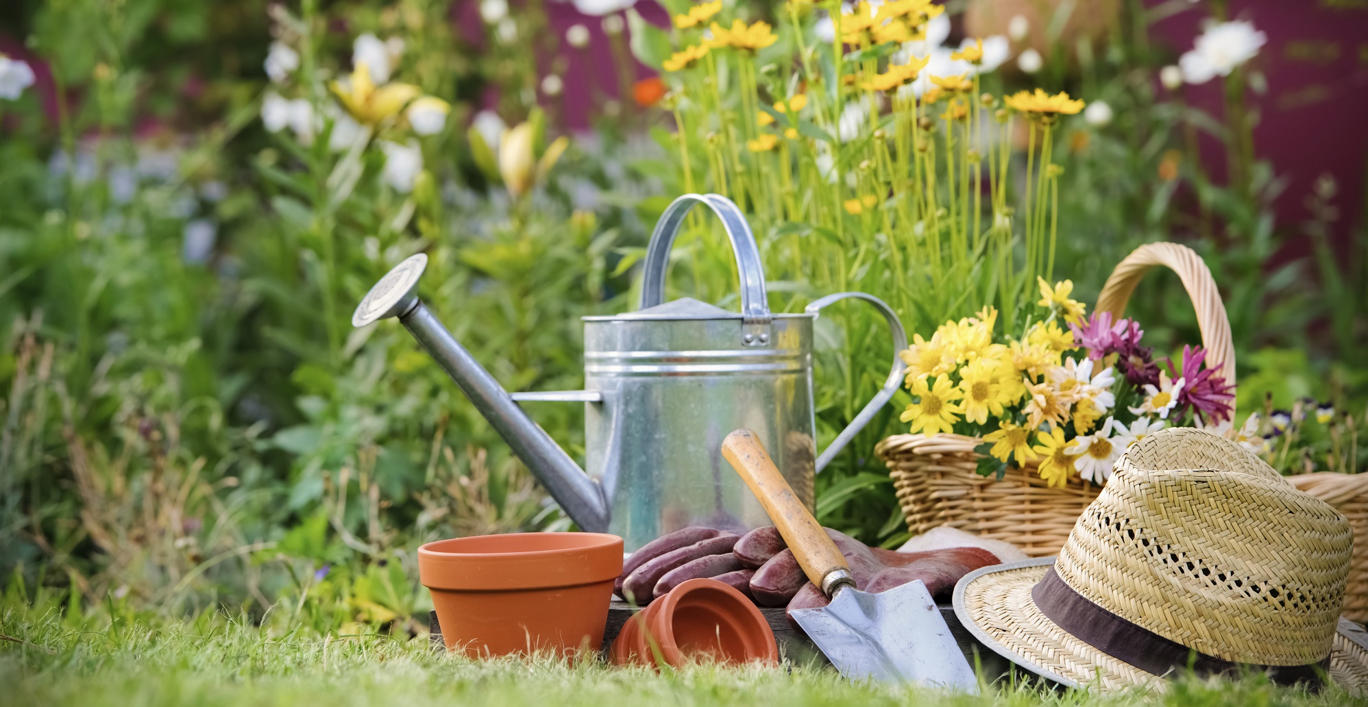 Gardening Supplies by Flowers