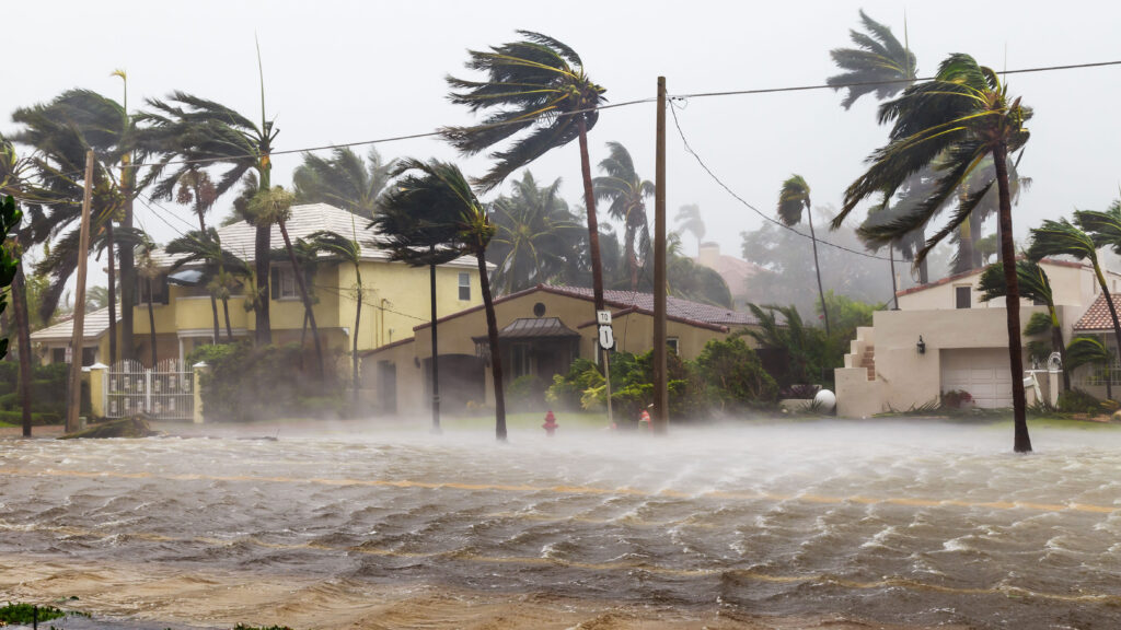 flooded street lined with palm trees blowing in wind